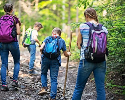 Fout youths hiking with backpacks through the woods.