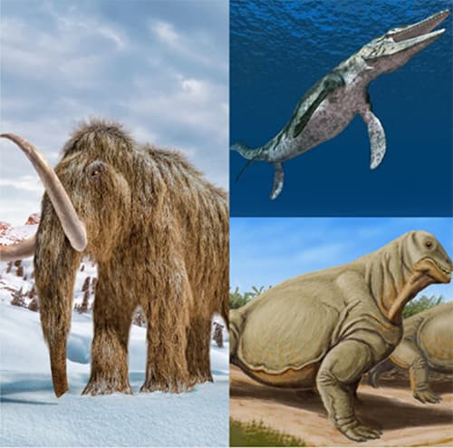 Separate images of a mammoth, mosasaur and maschop.
