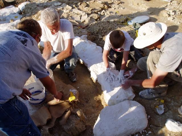 Plastering the neck