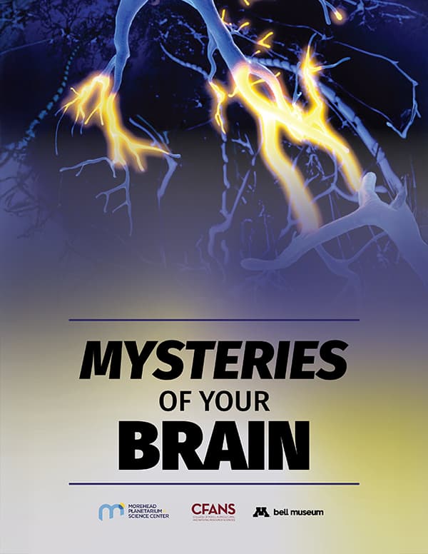 Poster for Mysteries of Your Brain