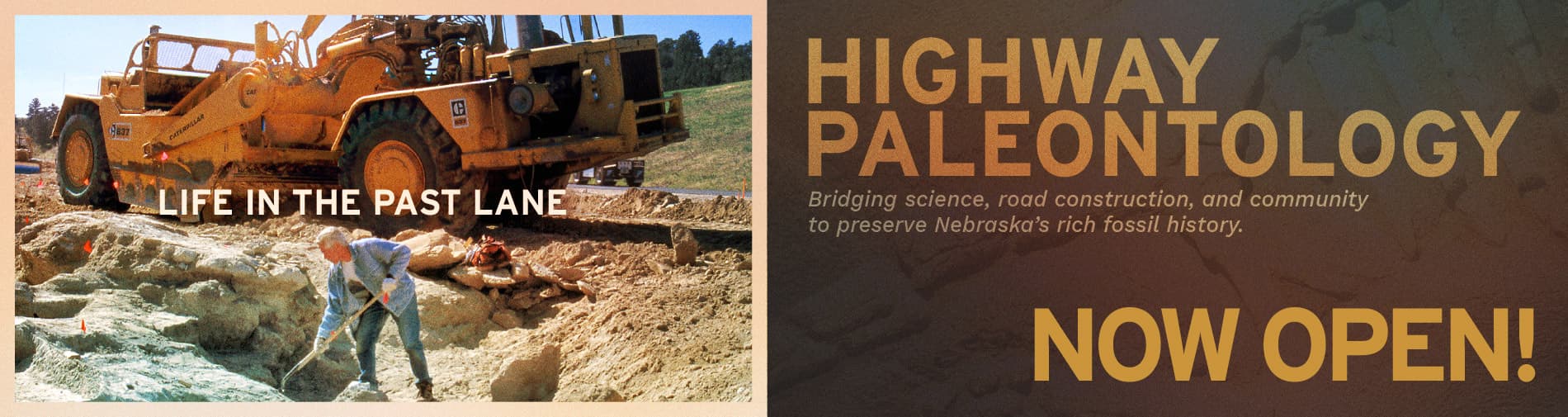 Highway Paleontology.