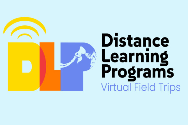 Virtual Learning